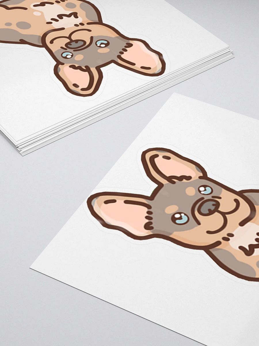 Albsterz Kiwi Stickers product image (12)