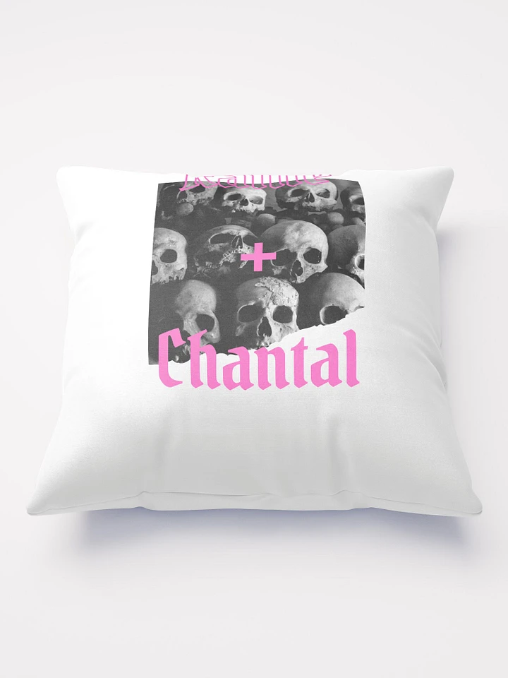 Raine + Chantal Skulls Throw Pillow product image (2)
