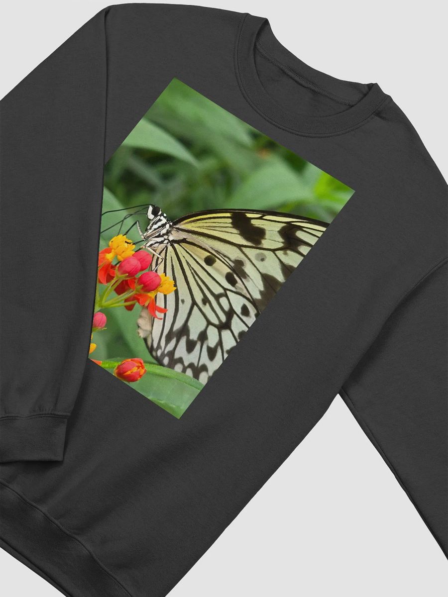 Paper Kite Tropical Butterfly Unisex Jumper product image (1)