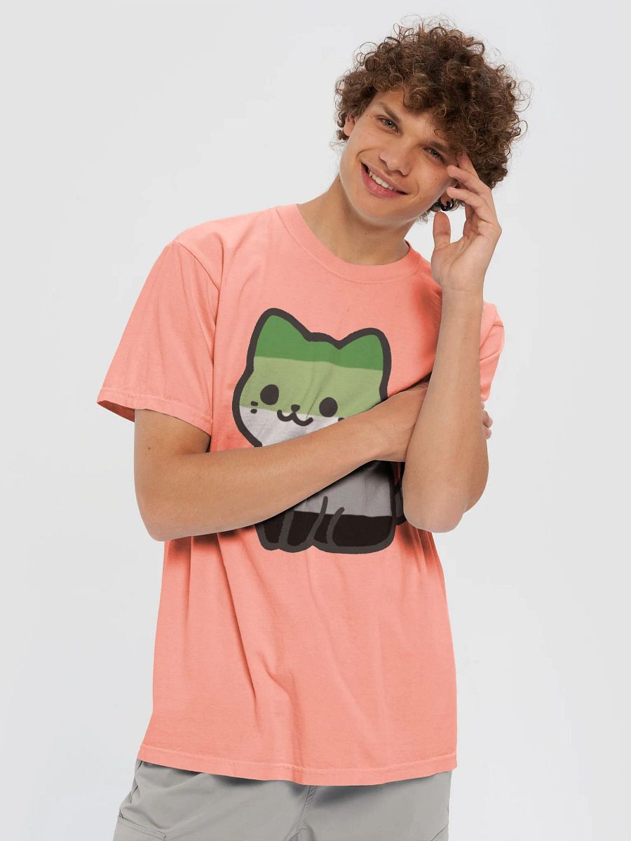 Aromantic Pride Kitty Man's Shirt product image (62)