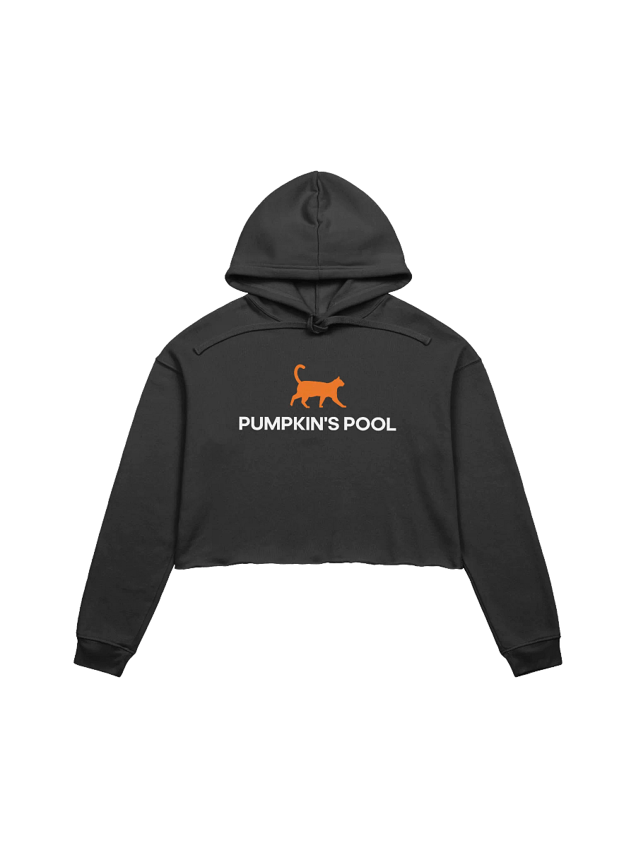 Pumpkin's Crop Hoodie product image (1)