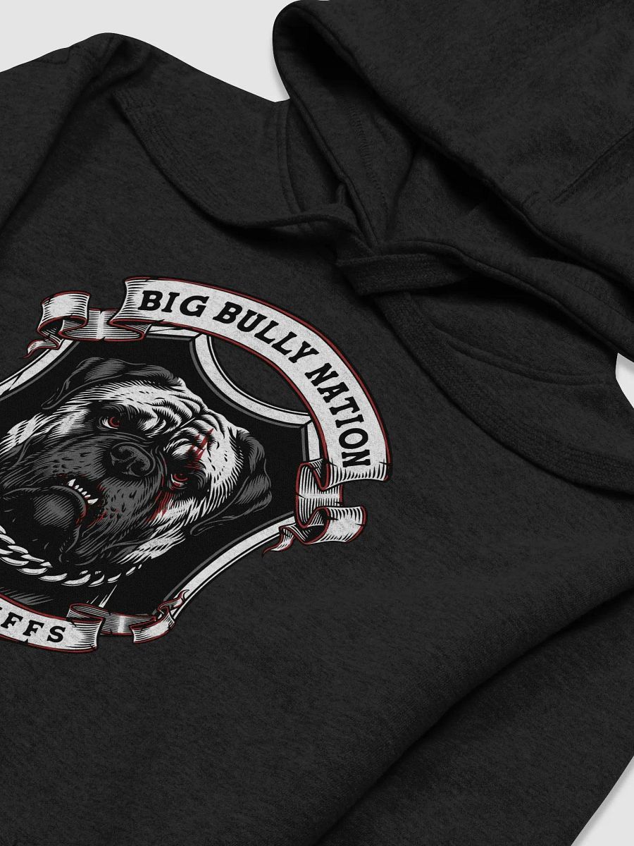 BBN Alter Ego Emblematic Hoodie product image (33)