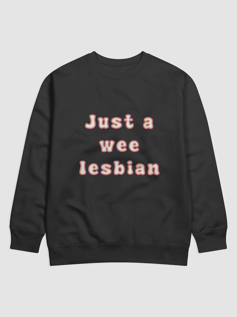 A Wee Lesbian Sweatshirt product image (1)