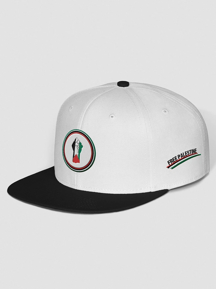 Palestine - Stand With Palestine - Otto Wool Blend Snapback Cap product image (13)