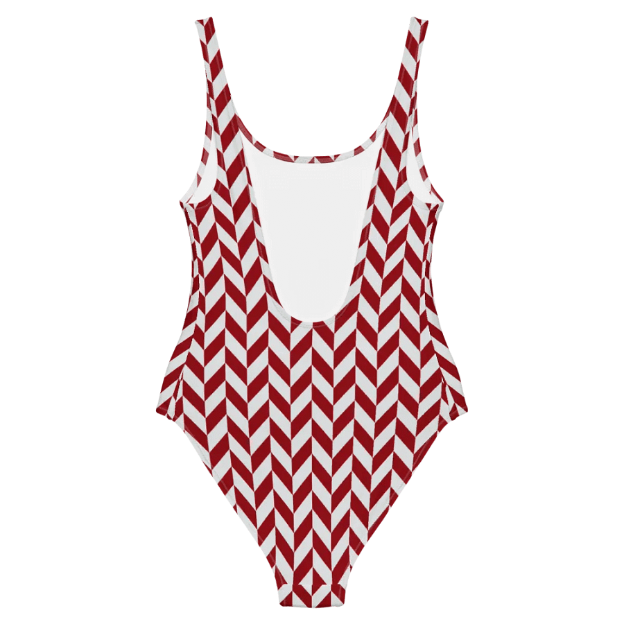 Garnet Swimsuit product image (2)