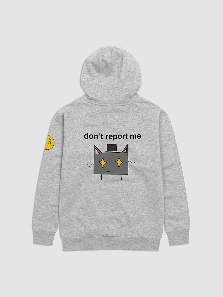 DRP Hoodie product image (2)