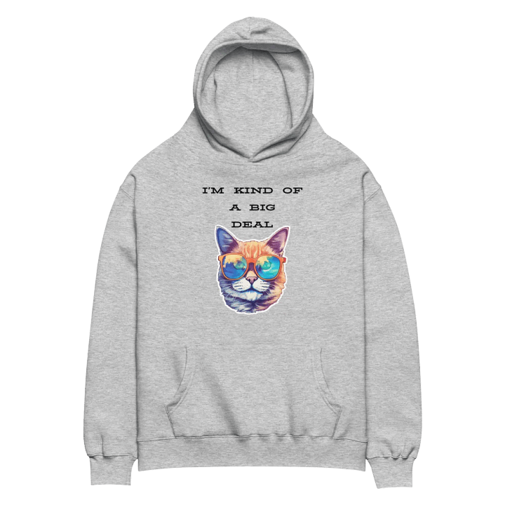 I'm kind of a big deal Unisex Premium Oversized Hoodie product image (6)