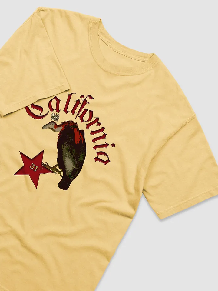 California Vulture product image (1)