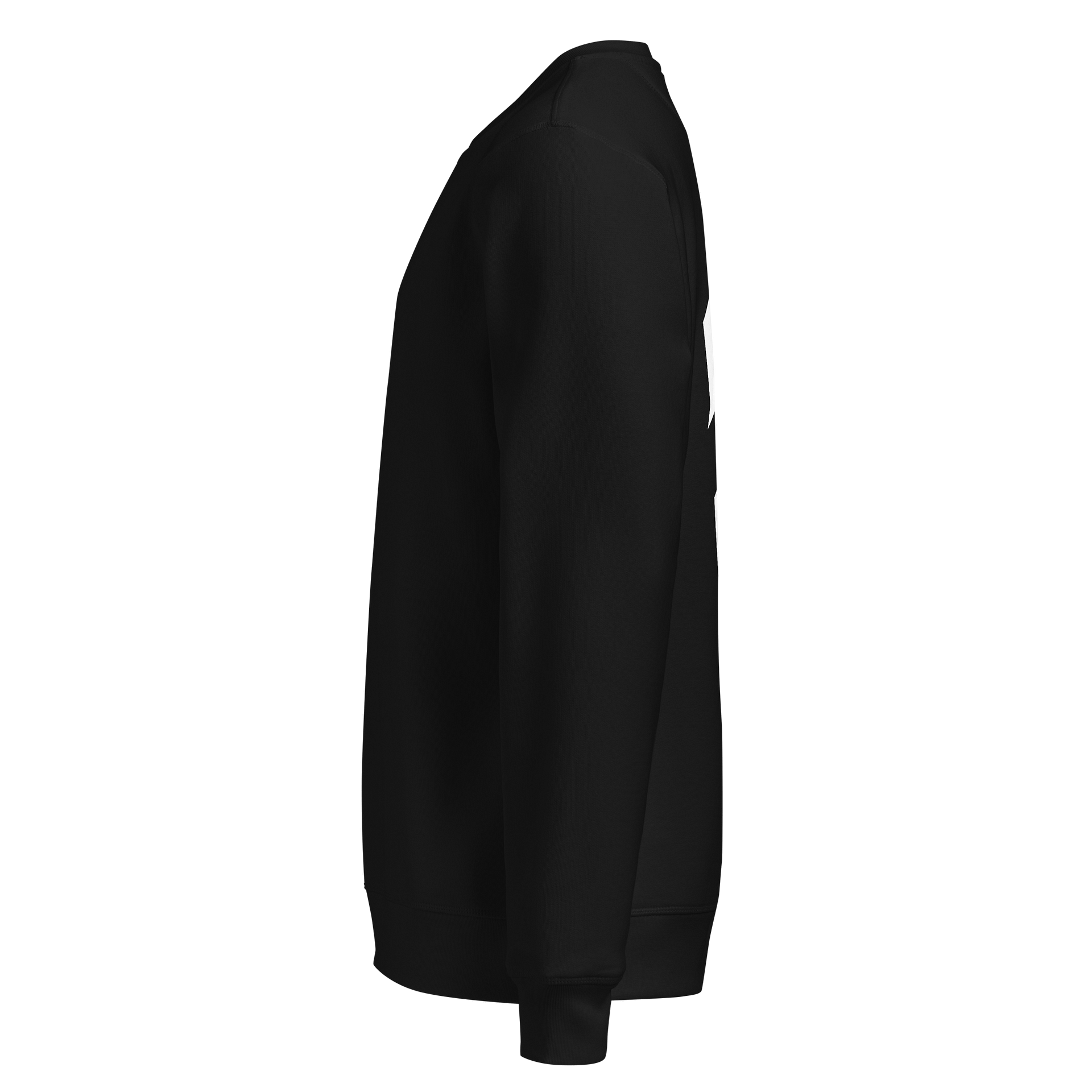 Sweatshirt - Large Logo product image (6)