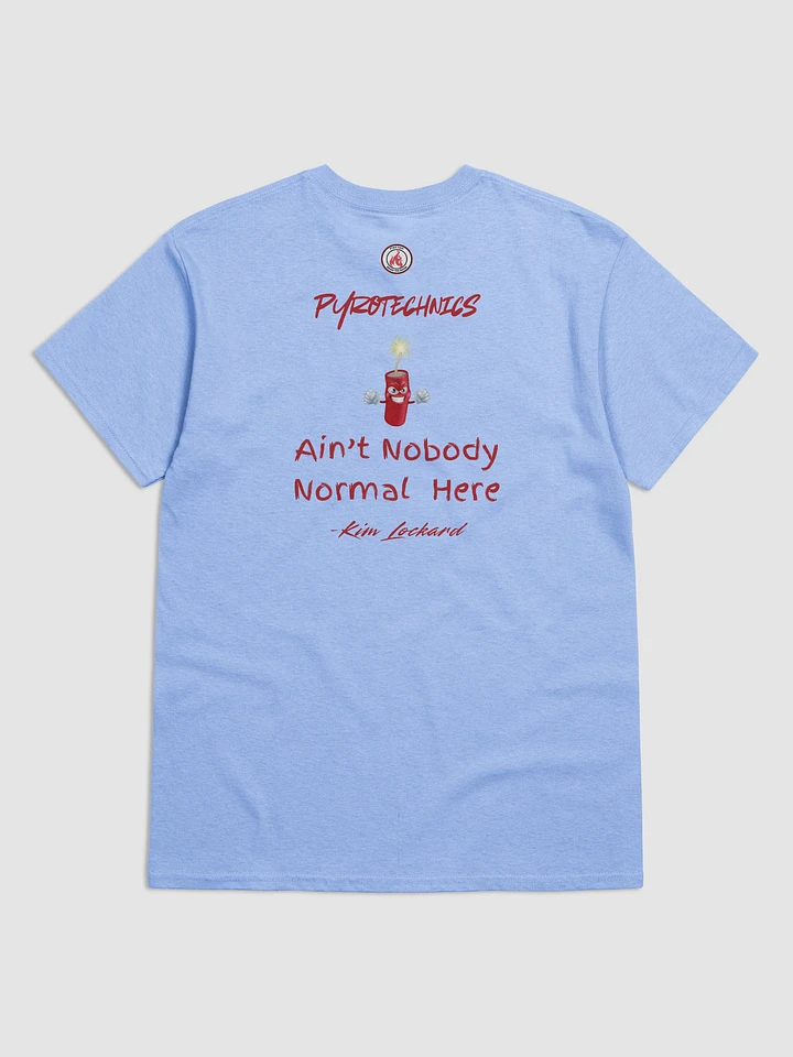 Ain't Nobody Normal T-shirt product image (6)