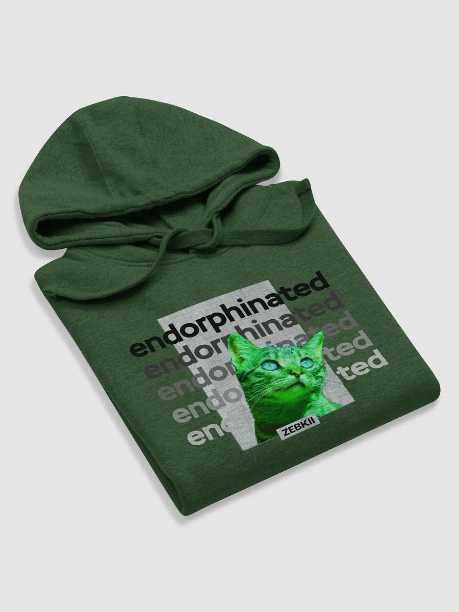 Endorphinated Hoodie product image (10)