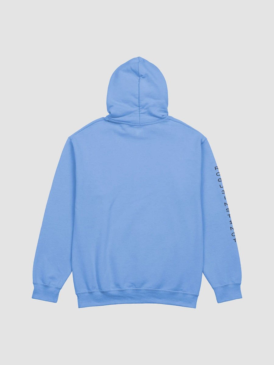Phoenix Hoodie - Black product image (2)