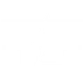 FlashForce Merch