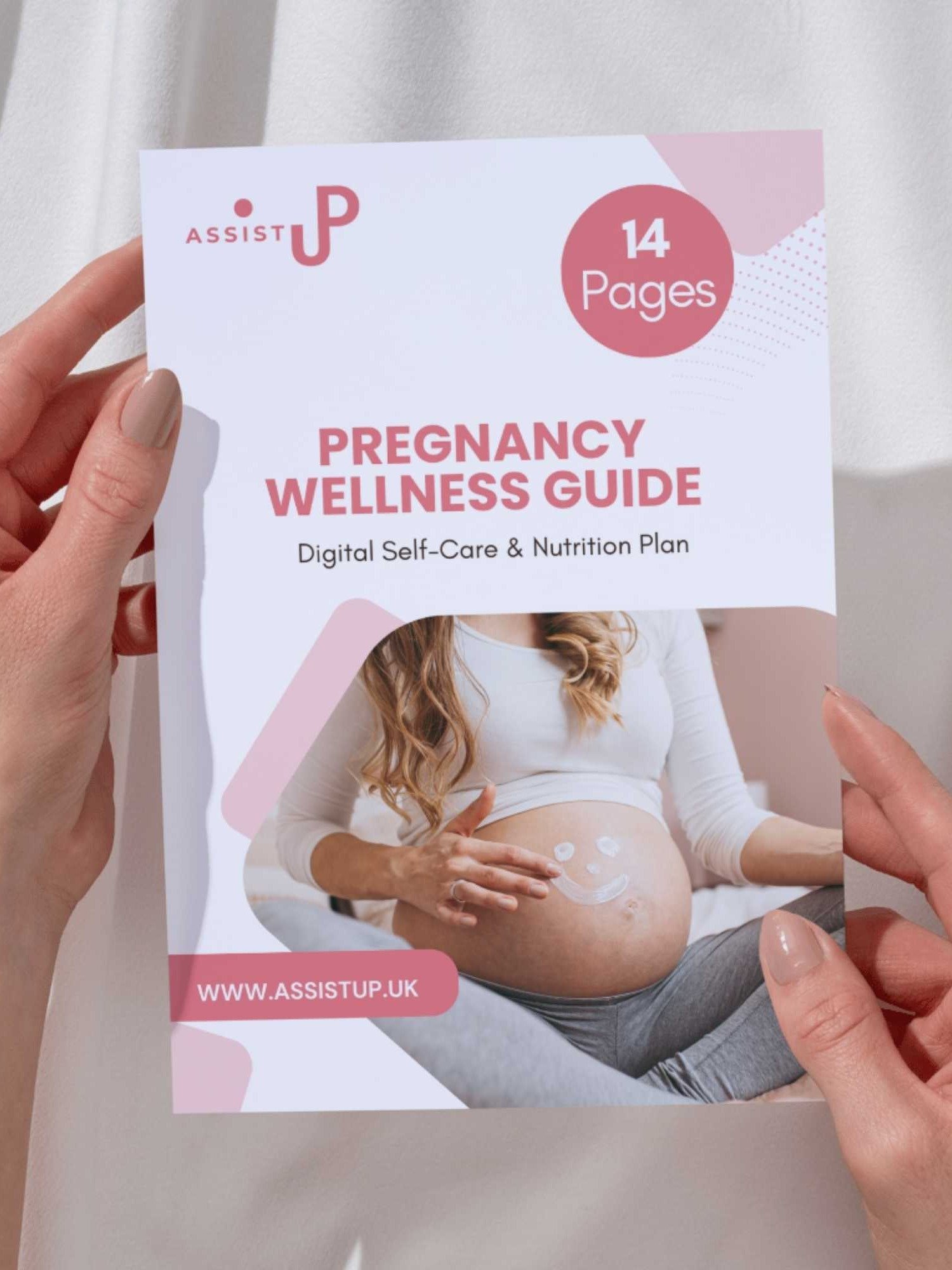 Pregnancy Wellness Guide product image (1)