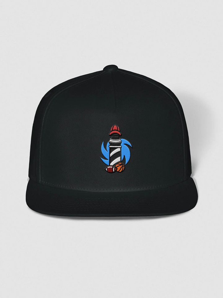 Logo V1 Hat product image (4)