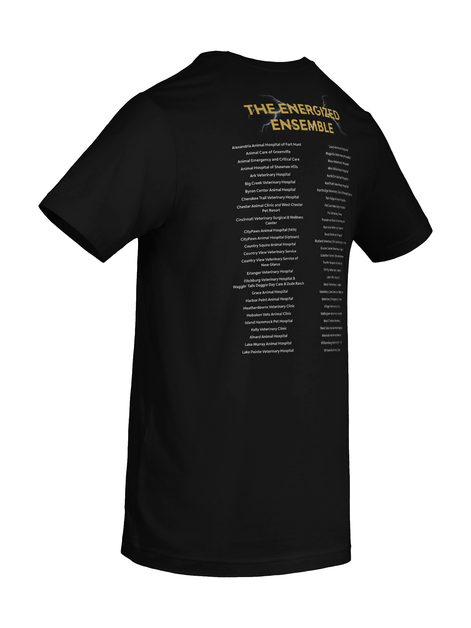 Ovation Event T-Shirt Bella+Canvas product image (10)