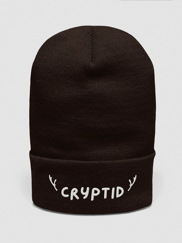 Cryptid Beanie product image (1)