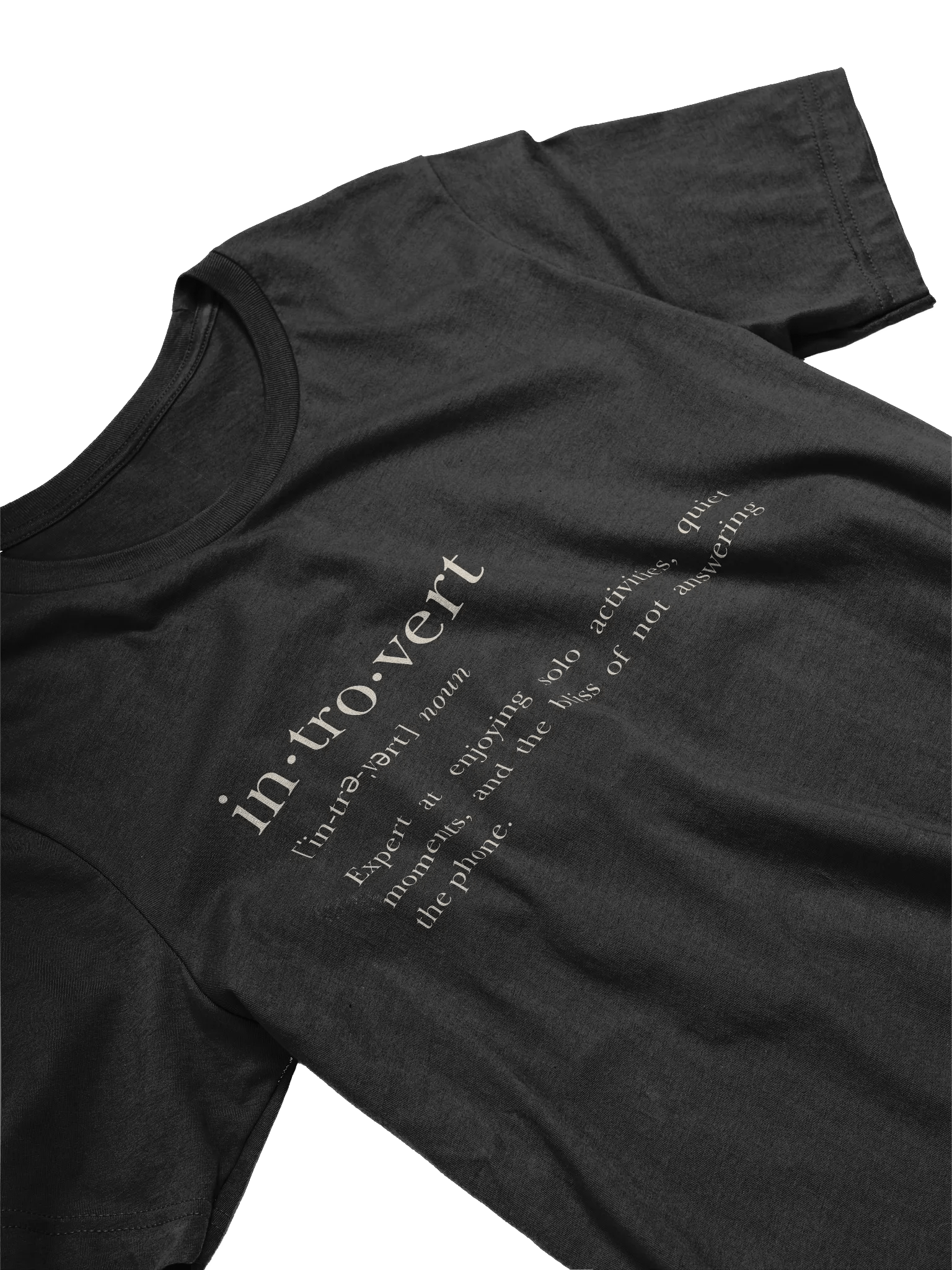 Introvert: Expert at Enjoying Solo Activities T-Shirt product image (4)