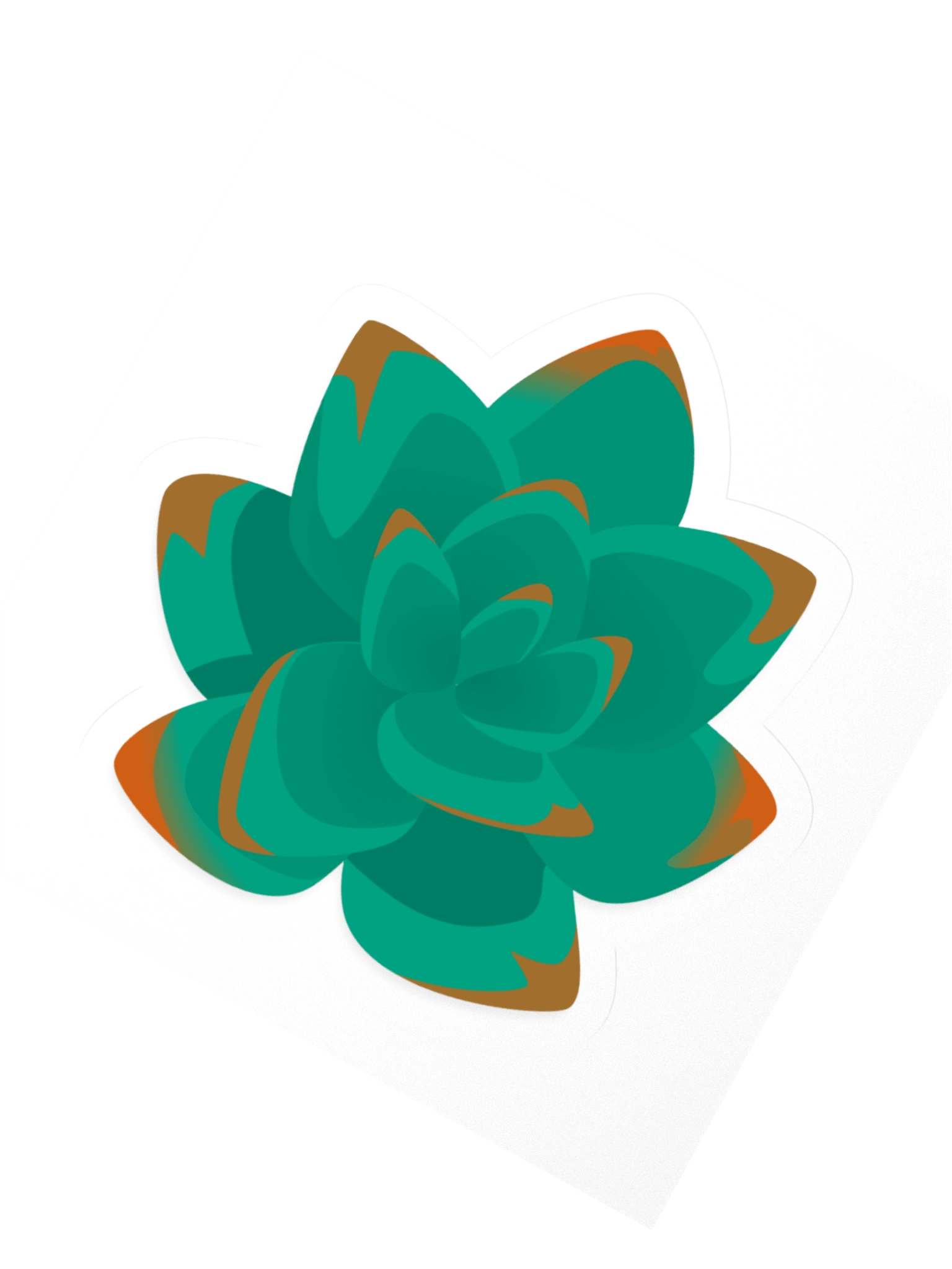 Echeveria product image (2)