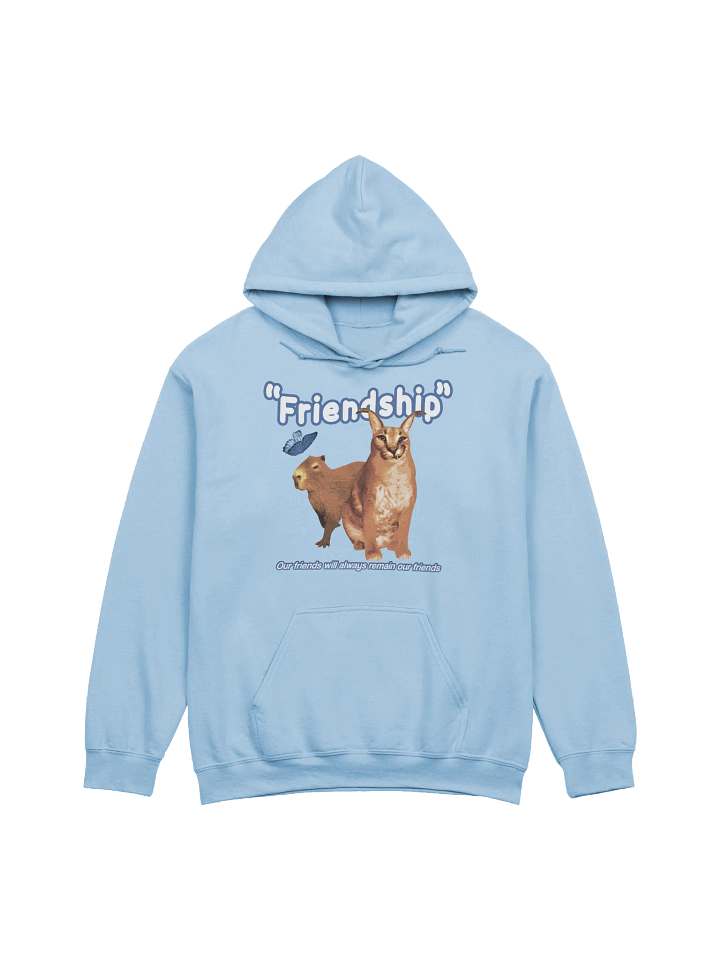 "Friendship" BIG FLOPPA x CAPYBARA HOODIE product image (1)