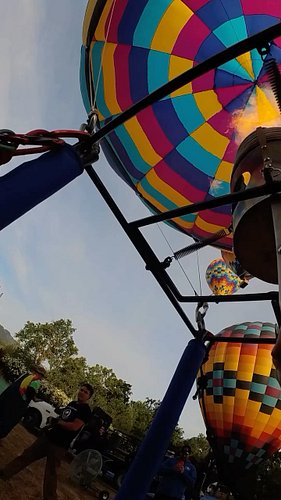 POV you lied on the job application