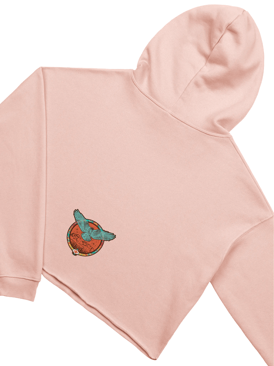 Free Spirit Wings Crop Hoodie product image (20)