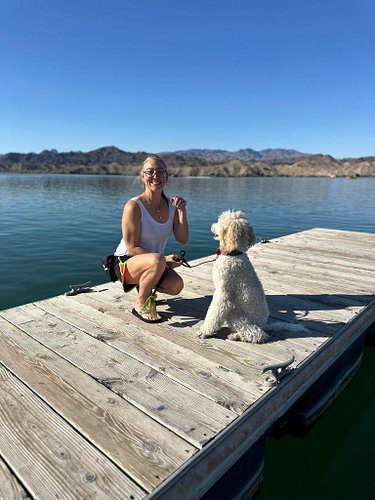 Dog training isn’t about tricks - it’s about preventing the heartbreak of rehoming, the cost of destruction, and the danger o...