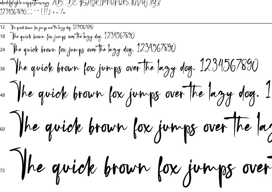 Black Bone | Signature Font product image (3)