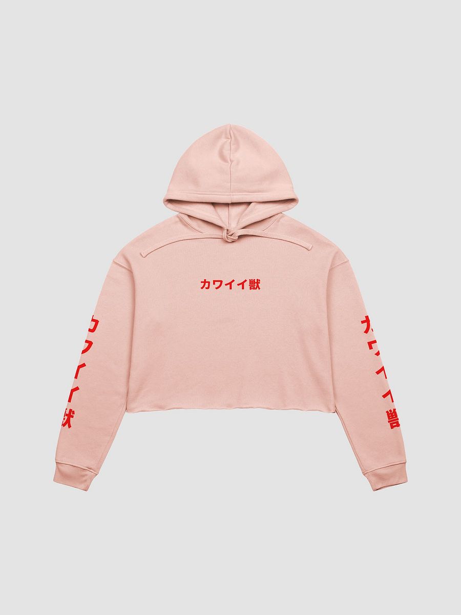 Kawaiiju Seeing Red Crop Hoodie product image (23)
