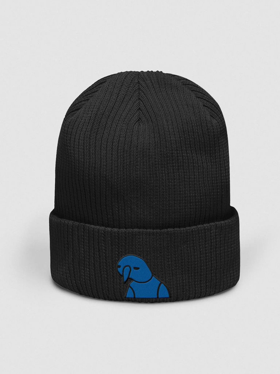 BruhSki Ribbed Beanie product image (1)