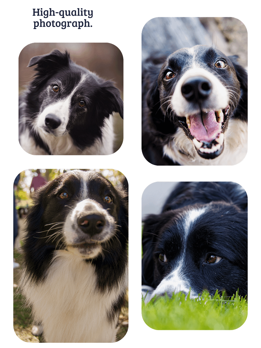 YOUR BEST FRIEND! / T-SHIRT WITH PERSONALIZED NAME / DIGITAL ART IV product image (5)