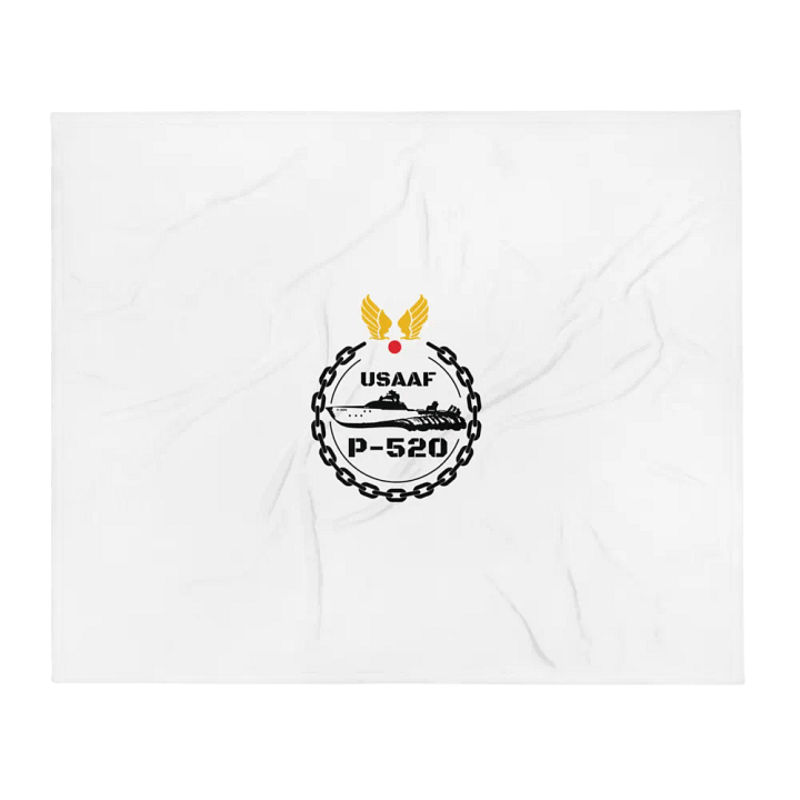 P-520 Soft, Fuzzy Blanket Choose your Size product image (1)