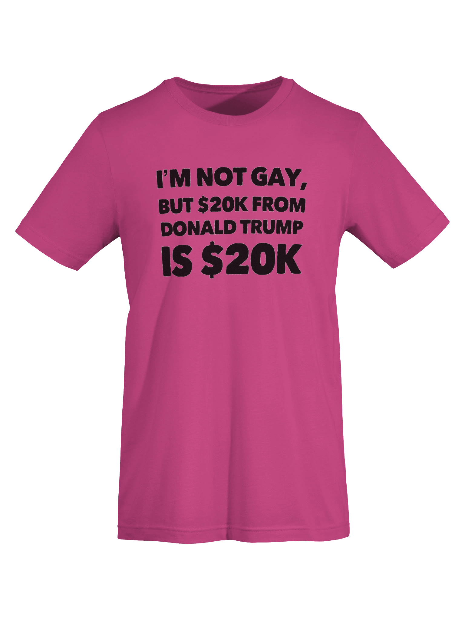 Not Gay $20K Tee Shirt product image (27)