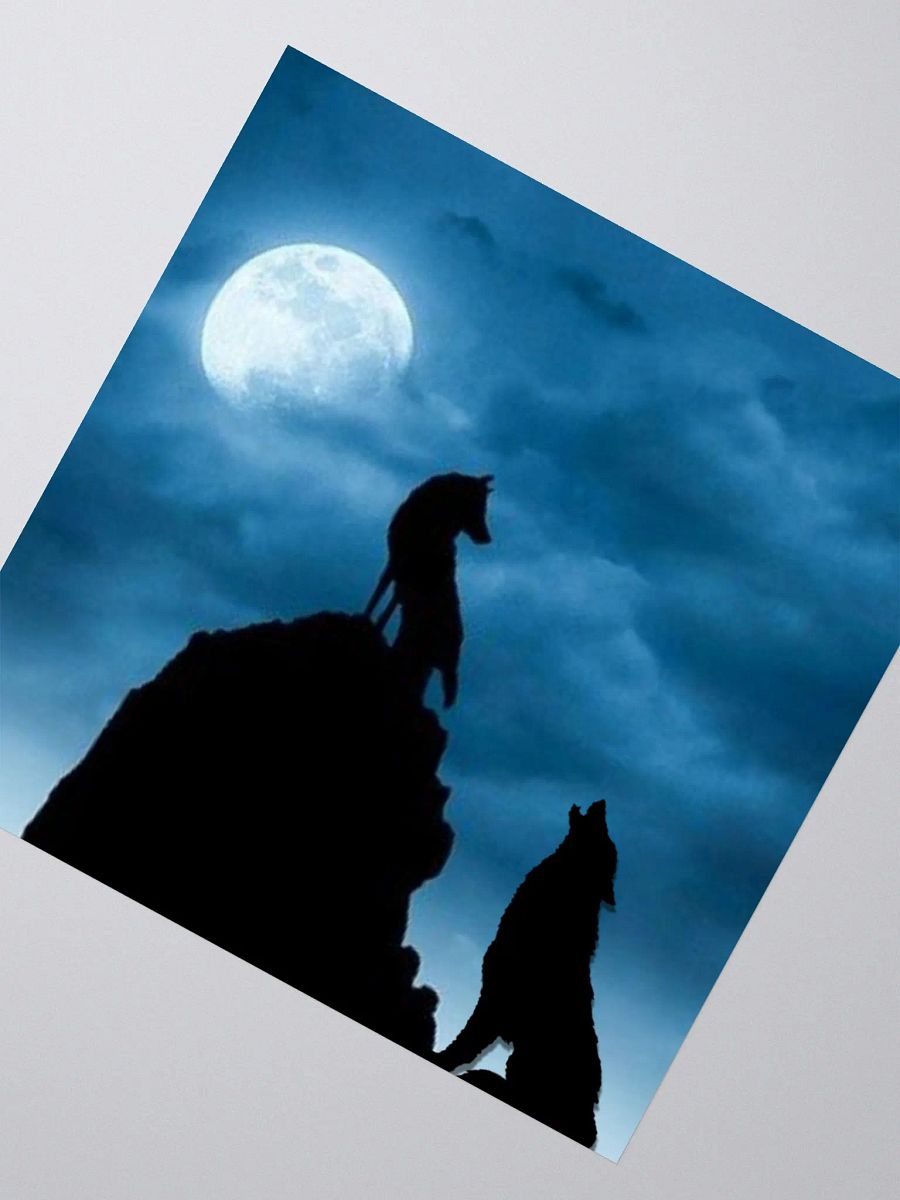 Midnight Blue product image (2)