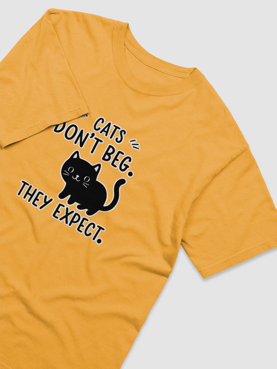 Expectation Cat Comfort Tee product image (2)