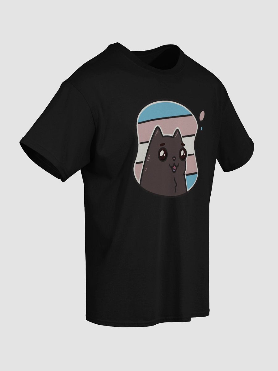 t-shirt : void transgender product image (3)