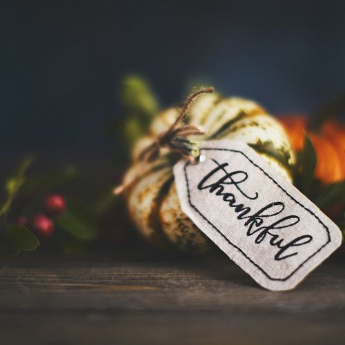 This Thanksgiving, we at North American Ag want to express our heartfelt gratitude.

First and foremost, we thank God for His...
