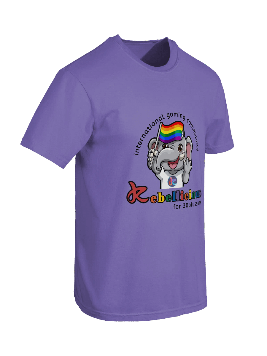 Comfort Colors Pride T-shirt product image (4)
