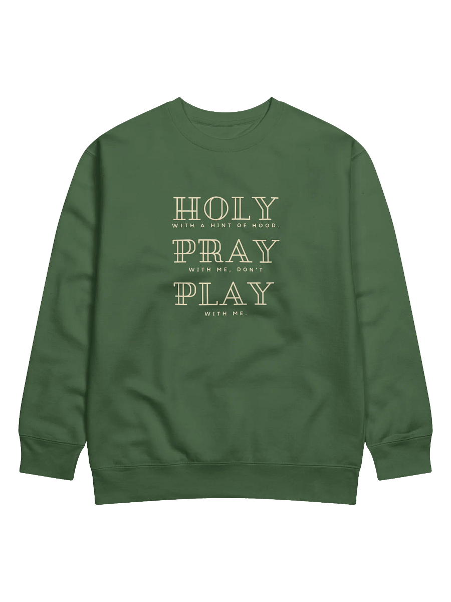 Holy With a Hint of Hood Sweatshirt (Dark Colors) product image (2)