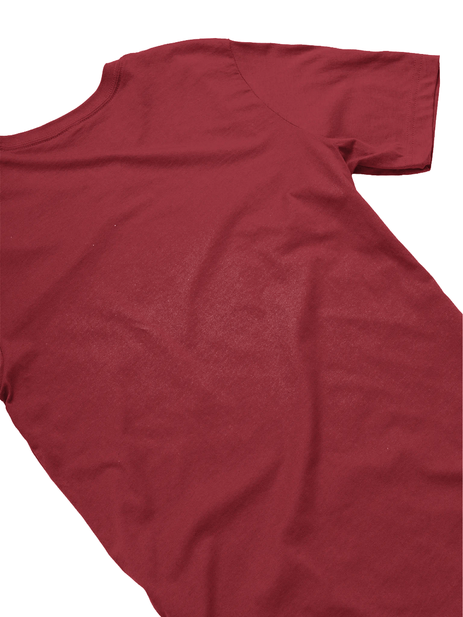 Double Jeopardy T-Shirt – LeTiddy Edition product image (4)