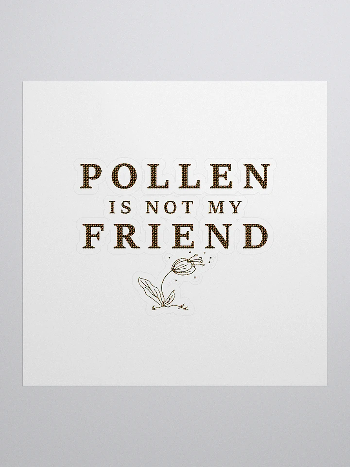 Seasonal Allergies: Pollen is not my Friend product image (4)