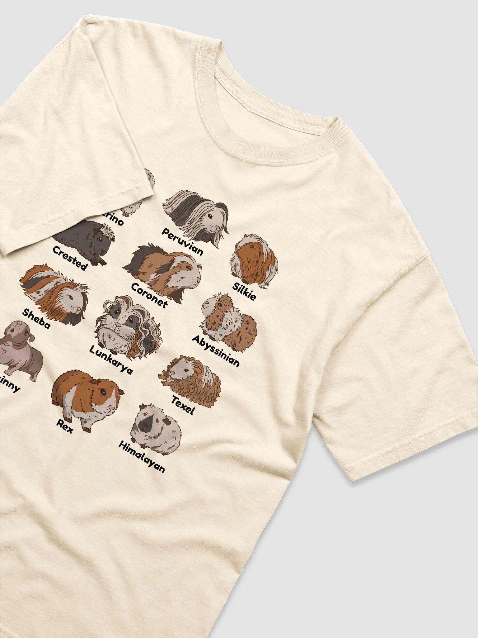 Types of Guinea Pigs T-Shirt | Cottagecore, Goblincore, and Dark Academia Shirt of Guinea Pigs product image (20)