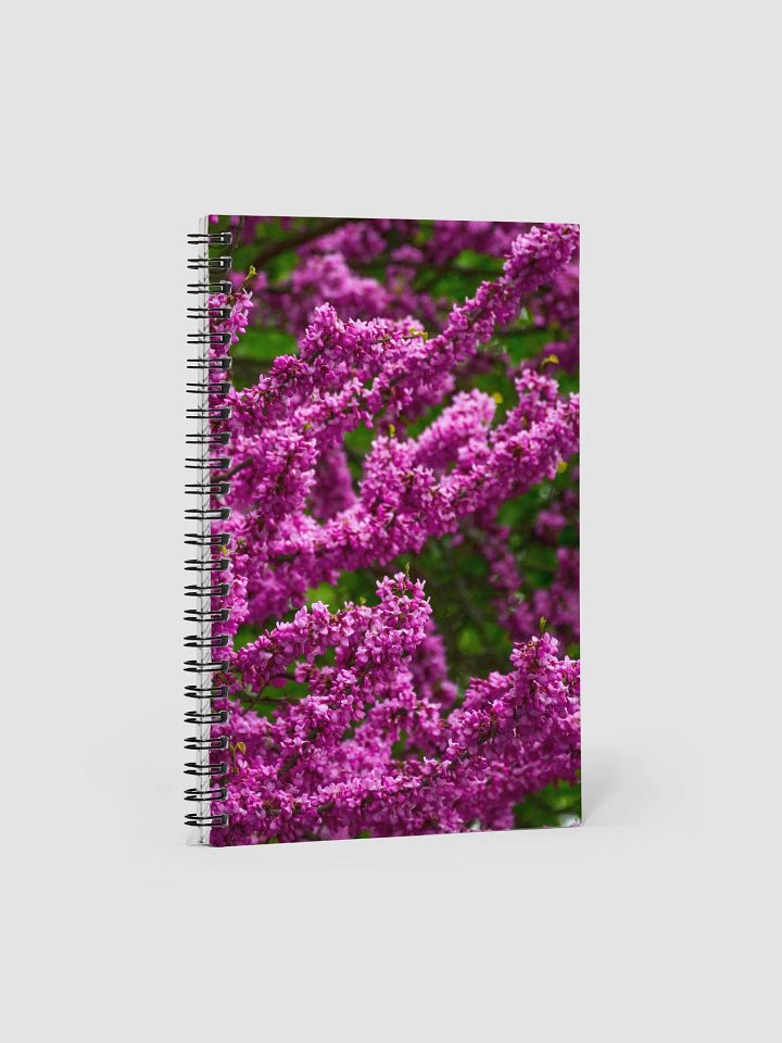 Journal product image (1)