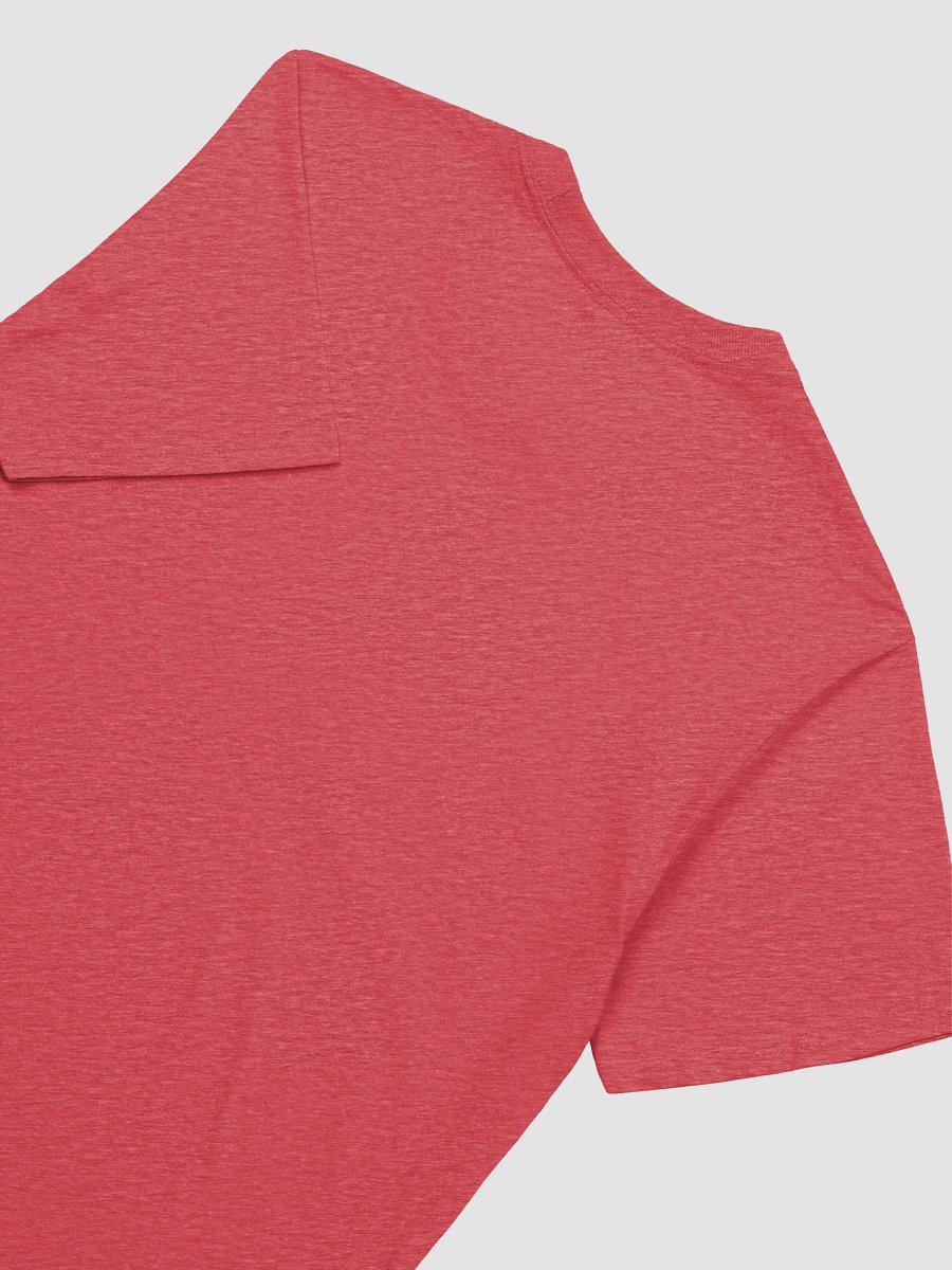Healthy Wealthy Vegetarian & Vegan T-Shirt product image (8)
