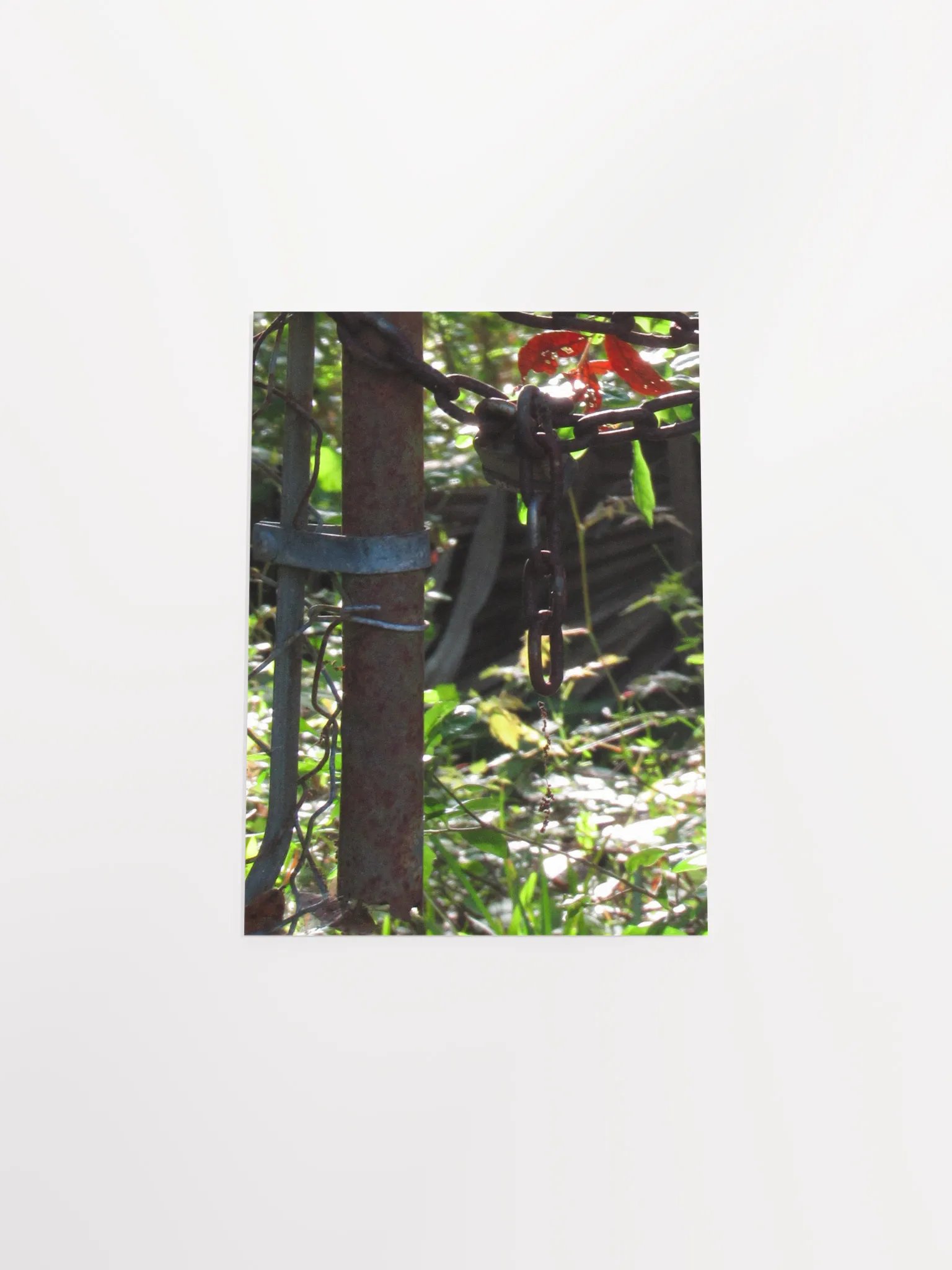 Restricted Nature product image (55)