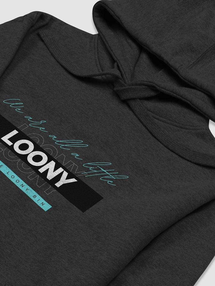 We are all a little Loony (unisex hoodie) product image (2)