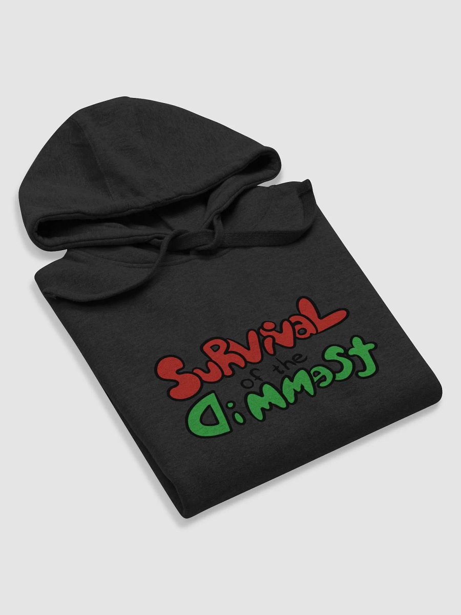 SotD Logo Hoodie product image (38)