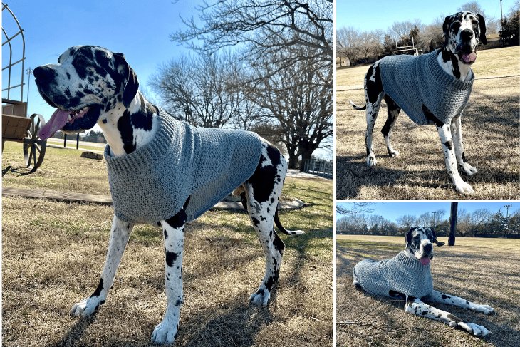 Easy Large Dog Sweater Crochet Pattern product image (3)