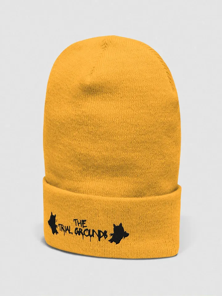 Trial Grounds Community beanie product image (5)