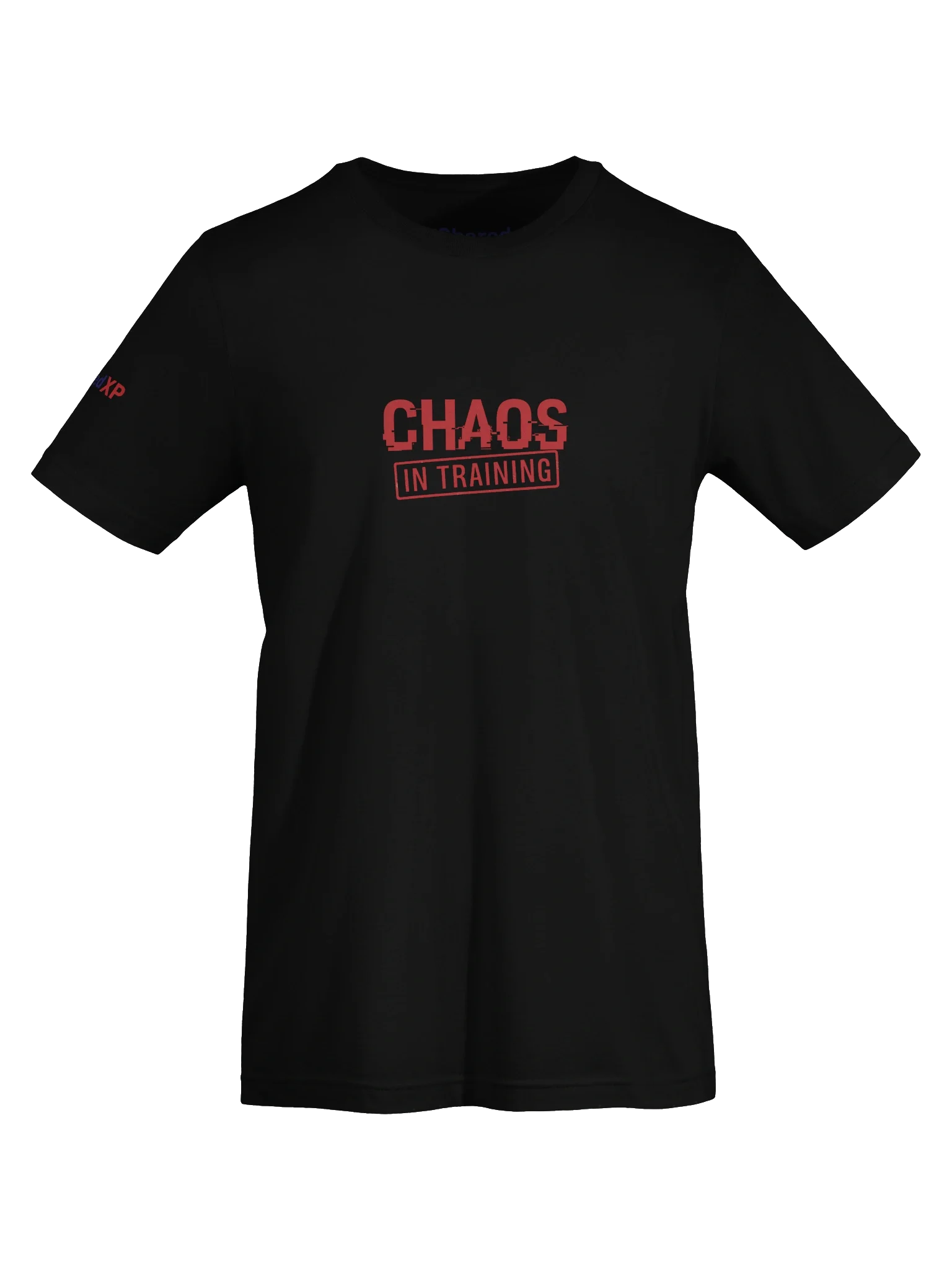 Chaos in Training T-Shirt product image (73)